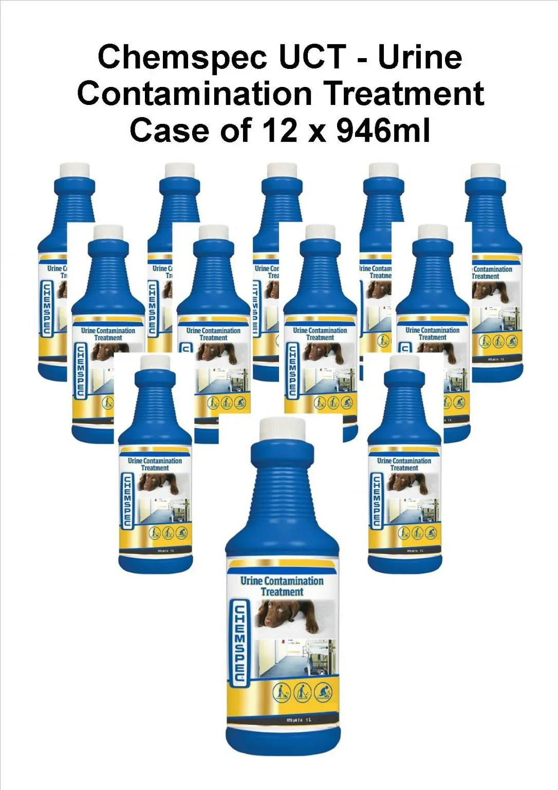 Chemspec Urine Contamination Treatment (116412)(#145) - Janitorial Superstore