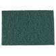 Green Scrub Pad HD 1Pad
