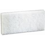 White Light Scrub Doodlebug