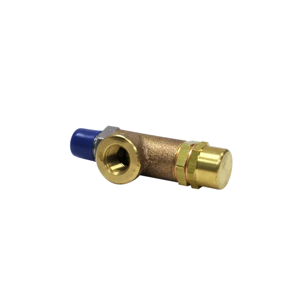 B541 Relief Valve, 250 PSI