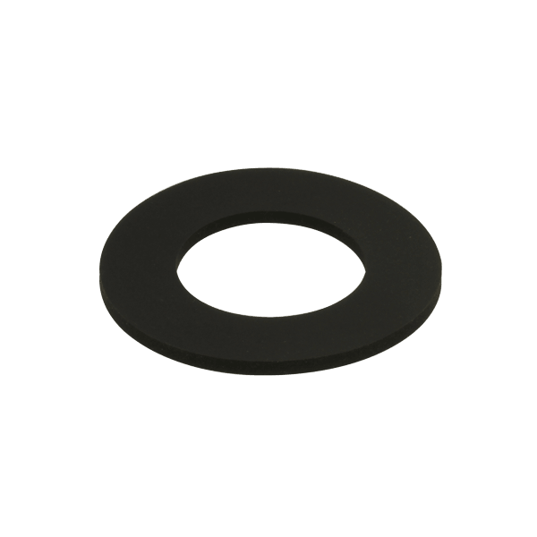 Vacuum gasket