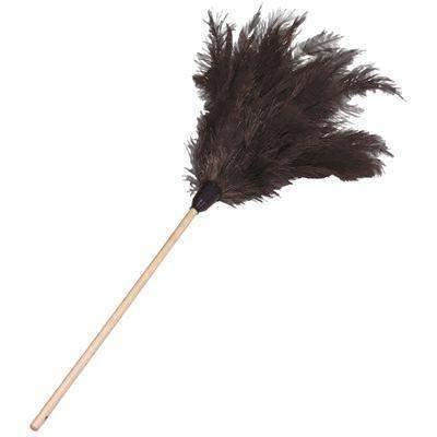 Small handled feather duster with ostrich feather