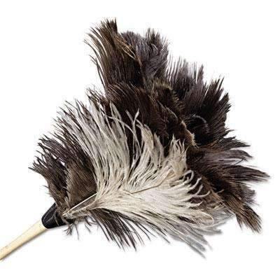Professional Ostrich Feather Duster, 7" Handle - Janitorial Superstore